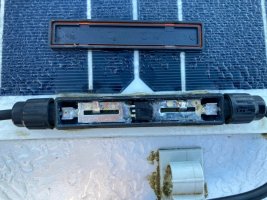 thumbnail_IMG_5937.jpg
