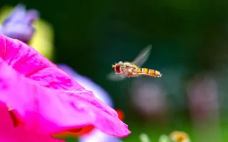 1280 x 800_IMG_5243(01)_180413.webp