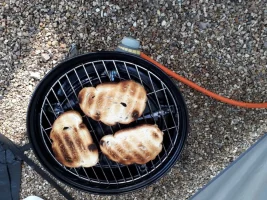 20190514_084316.webp