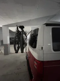 Bug 5.jpeg