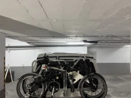 Bug2.jpeg