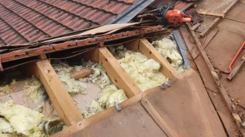 marder roof.webp