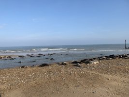 IMG_5087.jpeg
