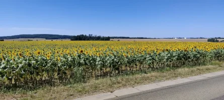 IMG-20220724-WA0000.webp