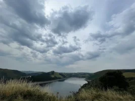 D39618BE-0B02-4C0D-9248-C94A2353F835.webp
