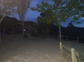 20220815_063436.webp