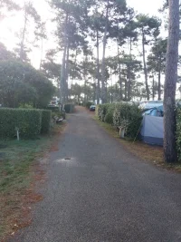 20180826_091650.webp