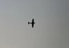 IMG_1992.webp