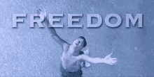 freedom-shawshank-redemption.gif
