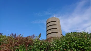 DSC_5312.webp