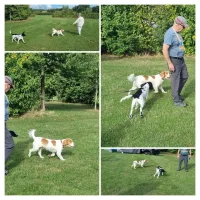 20220923_110832-COLLAGE.webp