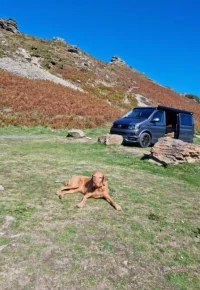 Screenshot_20221010-094012_Gallery.webp