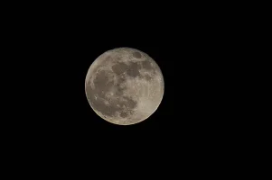 photoshoped wolfmoon.jpg