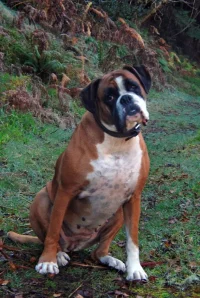 ella 1.jpg