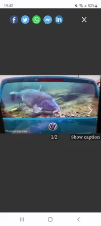 Screenshot_20221025-194217_Chrome.webp
