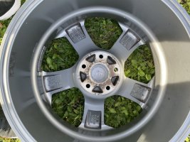 IMG_1896[1].JPG