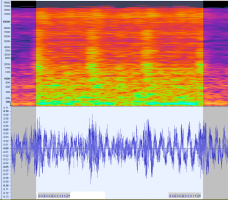 vw_transporter_t6.1_engine_noise__what_is_it _SPECTRUM-830_RPM.PNG