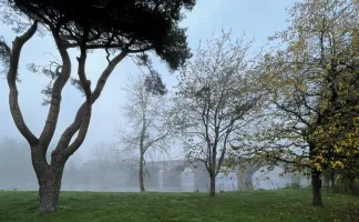 F6FA37B6-B763-4E3F-BA9E-0AFFFCB71CC2.webp