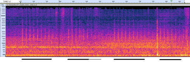 vw_transporter_t6.1_engine_noise__what_is_it _SPECTRUM_long.PNG