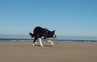 DSC_5253.webp