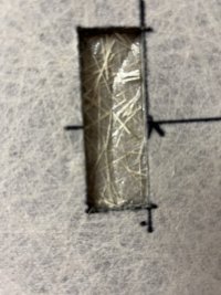 IMG_3461.JPEG
