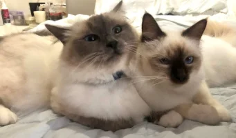 iris and livi.webp