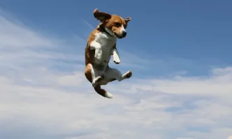 1672494987963.webp