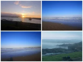 Collage_20230102_232024.webp