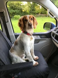 Ed Front seat.JPG