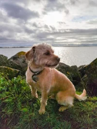 IMG-20210111-WA0005.webp