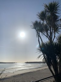 A6B54DDC-6F36-489F-B04D-D0C55EA37D94.jpeg