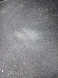 car mat.webp