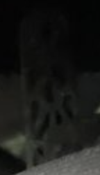 1677353101567.png