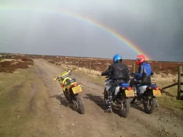 nanananarainbow.webp