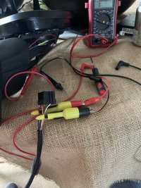 IMG_2954.JPEG