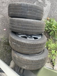 IMG_1995.jpeg