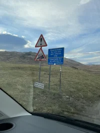 IMG_2195.webp
