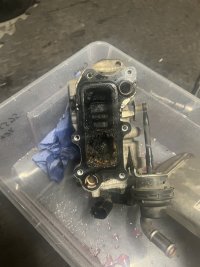 24F6F911-C28D-4FAF-B1B0-94E141CCA720.jpeg