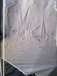 IMG_6261.webp