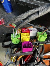 IMG_6215.jpeg