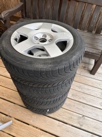 IMG_2281.jpeg