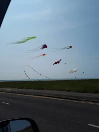 20230521_125406.webp