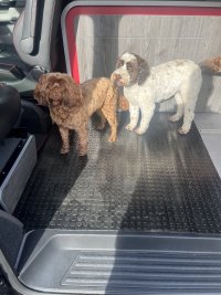 IMG_0481.jpeg