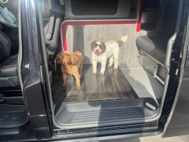 IMG_0484.jpeg
