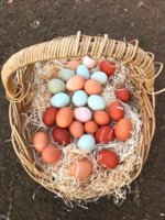 IMG-20180408-WA0000_01.jpg IMG-20180408-WA0000_01.jpg