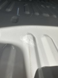 IMG_1353.jpeg