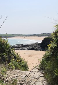 IMG_2027.jpeg