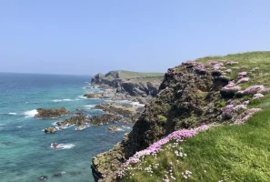 IMG_2046.jpeg