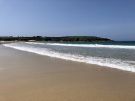 IMG_2056.jpeg