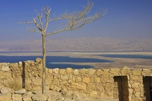 Dead Sea from Masada   .webp